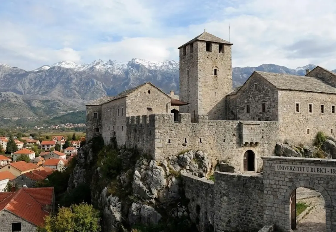 University of Dubica-Viskogorje